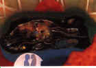 wpeA.jpg (2692 byte)