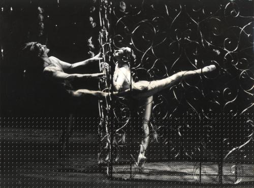 zimm2.jpg (28010 byte)